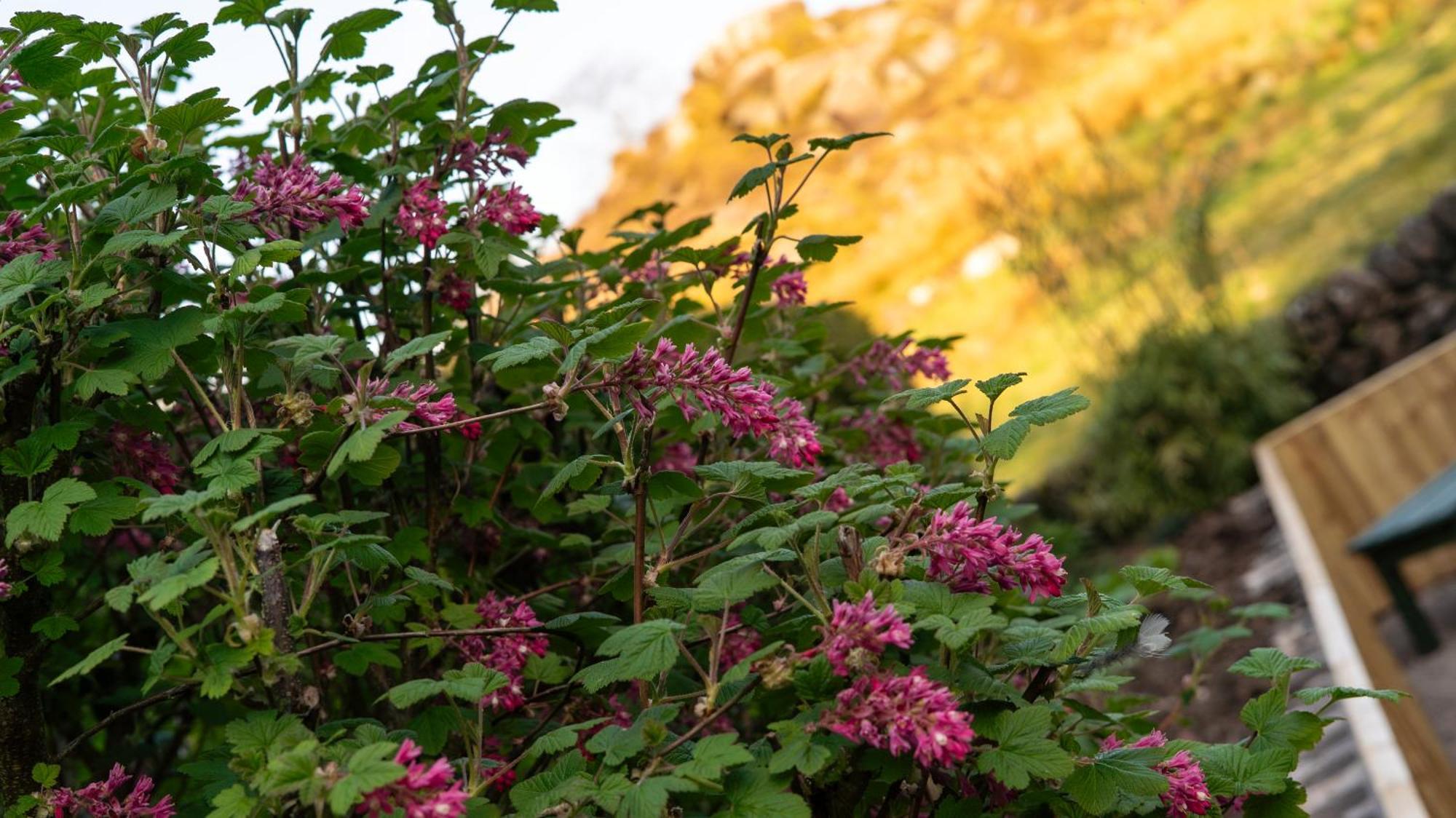 Ramshaw View Hotel Leek Eksteriør billede